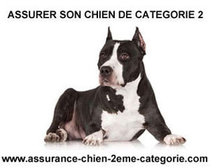 assurance chien categorie 2