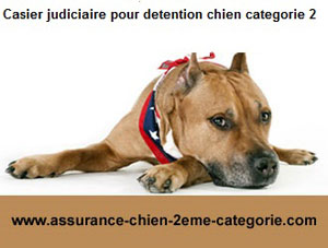 Casier judiciaire et chien de catégorie 2